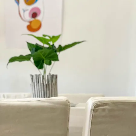 Apartamento Con Gran Patio A 1 Min De La Playa El Campello